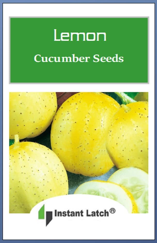 50 Lemon Cucumber Seeds | Non-GMO | Heirloom | Fresh Garden Seeds